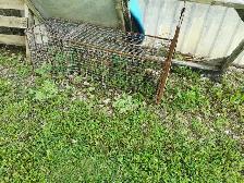 FREE    Cages all sizes FREE - Photo 2