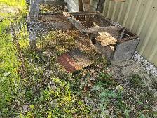 FREE    Cages all sizes FREE - Photo 5