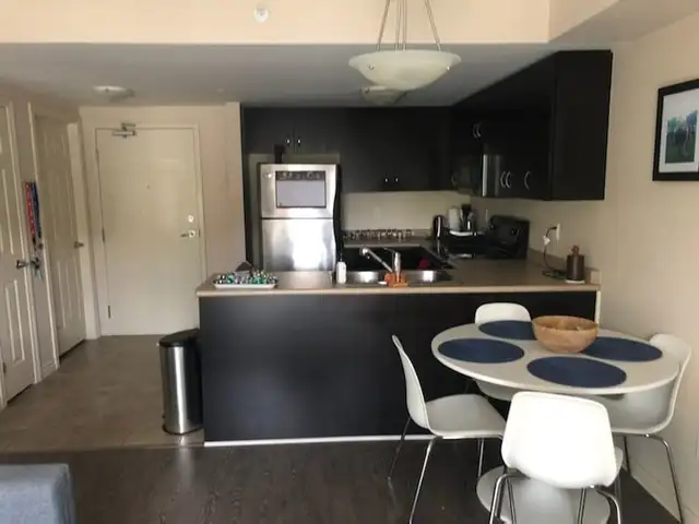 1 Bedroom Condo - available August 1