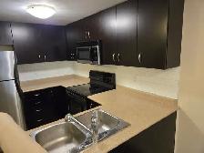 1 Bedroom Condo - available August 1 - Photo 2