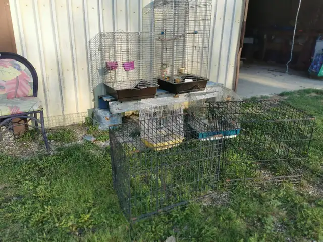 Cage Clearance  $20 each