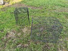 Cage Clearance  $20 each - Photo 2