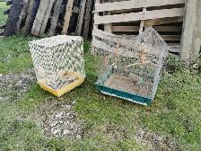 Cage Clearance  $20 each - Photo 3