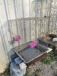 Cage Clearance  $20 each - Photo 4