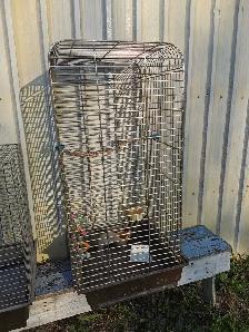Cage Clearance  $20 each - Photo 5
