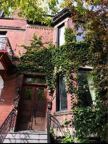 Beautiful Victorian 6 1/2