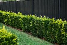 landscaping - Photo 2