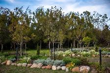 landscaping - Photo 3