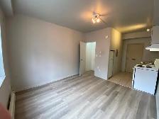 Studio Bachelor Apartment in Durand Neighbourhood - Photo 3
