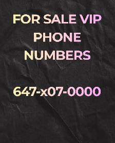 Best selection of VIP phone Numbers 416,647,905,437 AreaCode