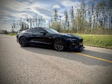 2022 Mustang Mach 1 - Photo 4