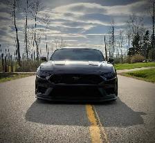 2022 Mustang Mach 1 - Photo 5
