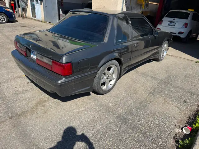 Mustang 5.0