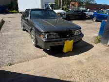 Mustang 5.0 - Photo 3