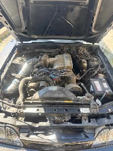Mustang 5.0 - Photo 9