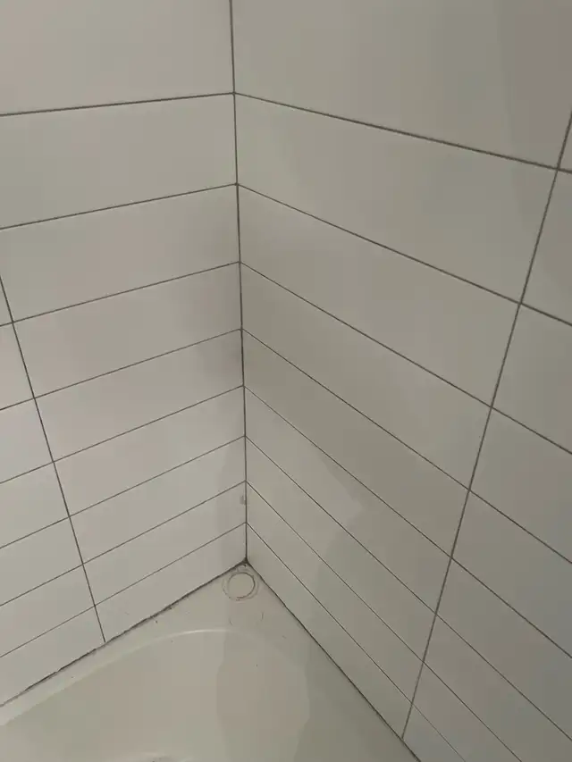 Re-Caulk Shower Bathtub Sink $100