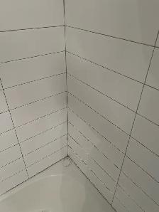 Re-Caulk Shower Bathtub Sink $100