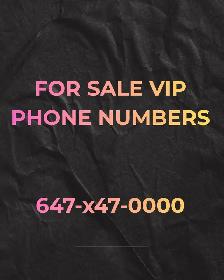 416,647,905,437,289,226,519,613,403,604Area Code phone Numbers