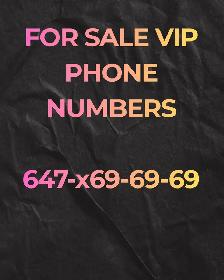 Our VIP numbers will elevate your business 416,647,905,437 Code