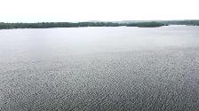 Wooded Land Lease (0.5-2 Ac) - Bonnechere Valley - Photo 2