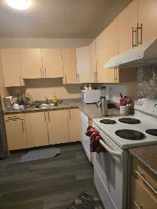Rooms available for rent