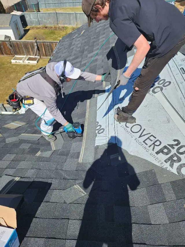 Roofing help
