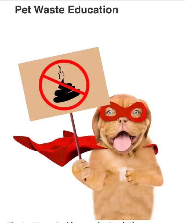 windows/dog waste