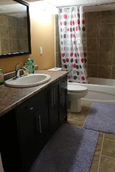 2 Bedroom Basement Suite - Photo 9