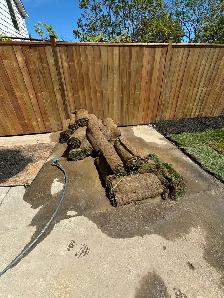 fresh sod rolls leftover - Photo 2