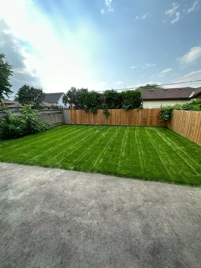grass cutting