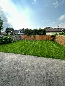 grass cutting