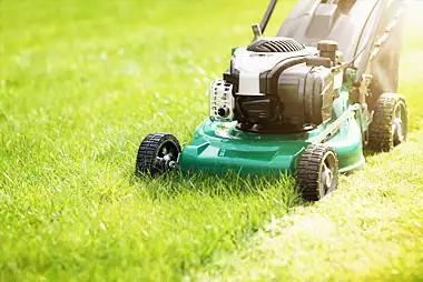 grass cutting