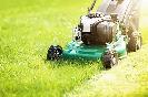 grass cutting