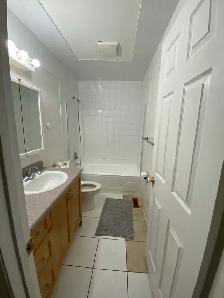 Room for Rent in Rundle - Photo 4