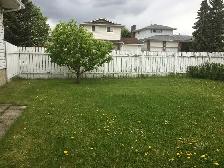 Room for Rent in Rundle - Photo 9