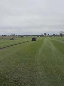 FARM FRESH SOD - Photo 2