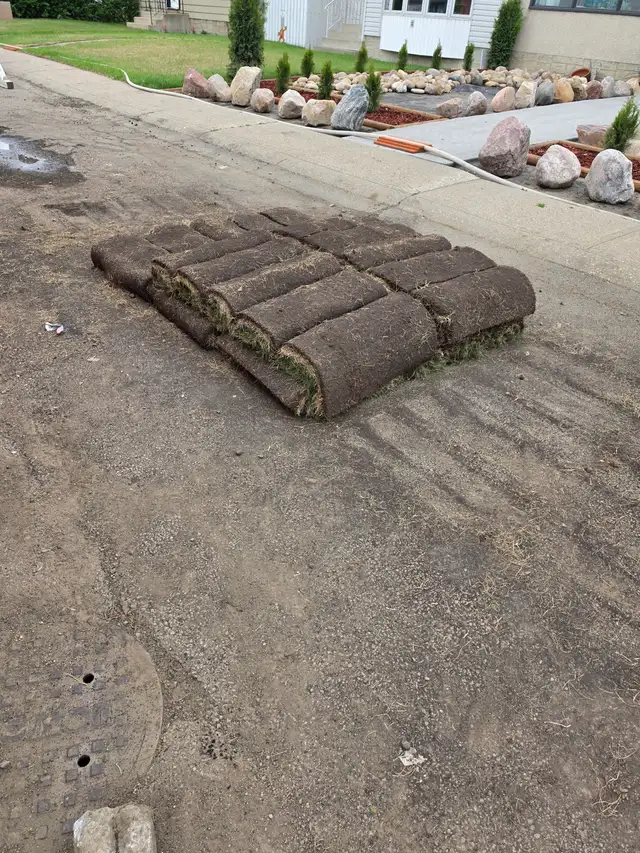 30 roll of sod