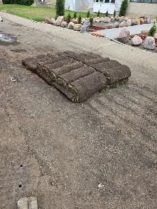 30 roll of sod