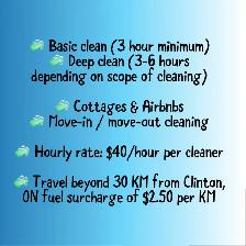 Lake Huron cleaning  Co -services - Photo 4