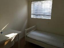 rooms for rent at York university village - Photo 3