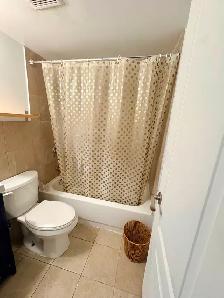 RENO'D BDRM WITH PRIV.WASHROOM, IN CLEAN & BRIGHT BSMT APT - Photo 3