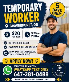 Temporary Worker
