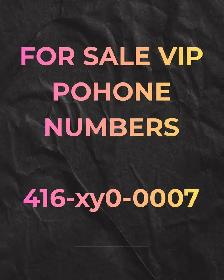 Lucky, Phone Numbers 416,647ending 7777,8888,0000,1111,5555