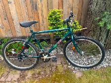 MINELLI ''MT - DIABLO' MOUNTAIN BIKE'