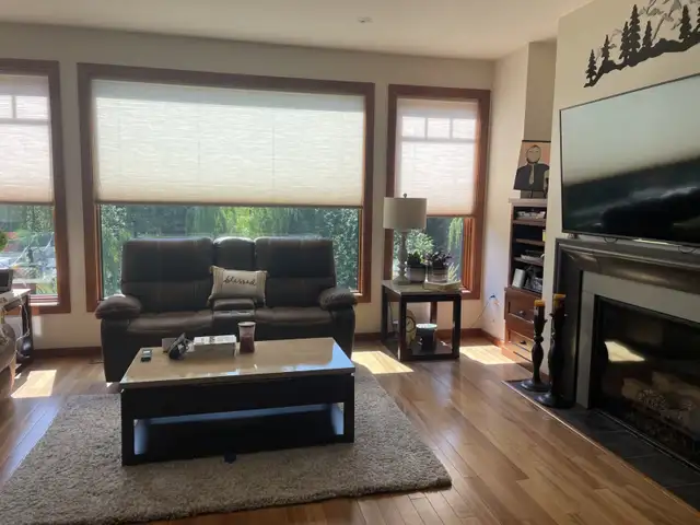 House Cleaning by James