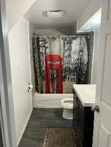 SPACIOUS BASEMENT APARTMENT – NEAR MIDLAND & EGLINTON - Photo 3
