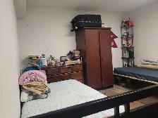 SPACIOUS BASEMENT APARTMENT – NEAR MIDLAND & EGLINTON - Photo 6