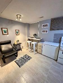 RENO'D PRIV.BDRM IN BRIGHT BSMT APT. UTILITIES INCLUDED - Photo 3