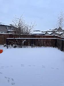 Secord 3 Bed 3.5 Bath Dbl Garage Home Edmonton - Photo 7