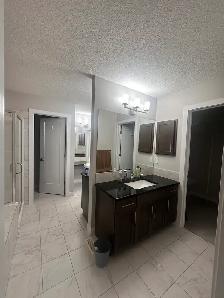 Secord 3 Bed 3.5 Bath Dbl Garage Home Edmonton - Photo 14